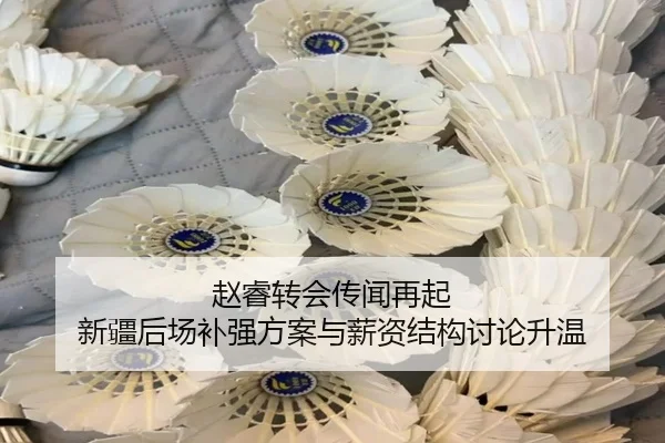 赵睿转会传闻再起 新疆后场补强方案与薪资结构讨论升温